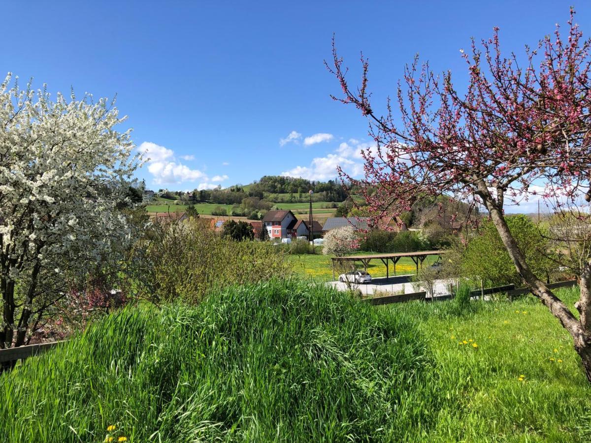 Ferienwohnungen Und Appartements Im Idyllischen Vierkanthof, Gruppenurlaube Loipersdorf bei Fuerstenfeld Exterior photo